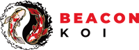 Beacon Koi