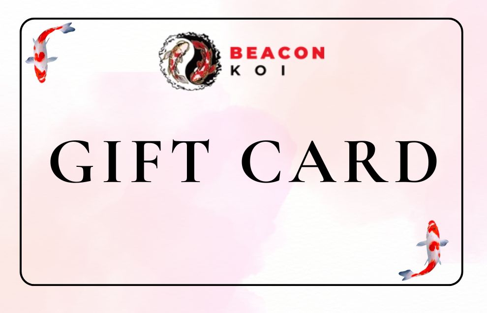 Beacon Koi Gift Card
