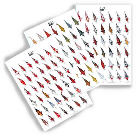 Large Koi Variety Poster Set